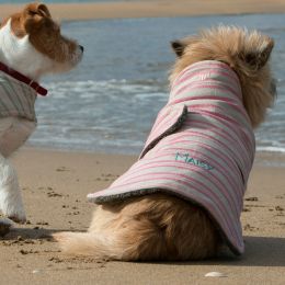 Dog Coat - Rose Stripe