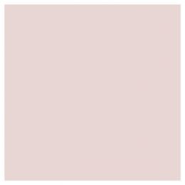 Pale Rose Umber Paint