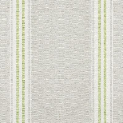 Grey Green Gustavian Stripe Cotton – Double Width - 288L