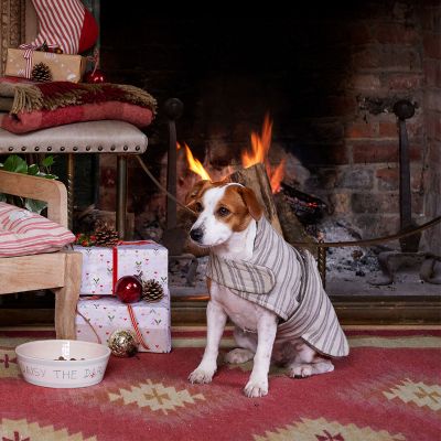 Charcoal Stripe Dog Coat