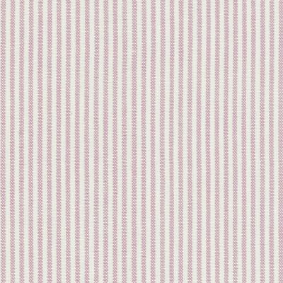 Violet Piping Stripe Cotton – Double Width – A29