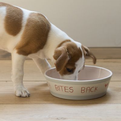 This Bitch Bites Back Dog Bowl