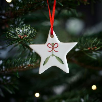 Mistletoe Star Christmas Decoration