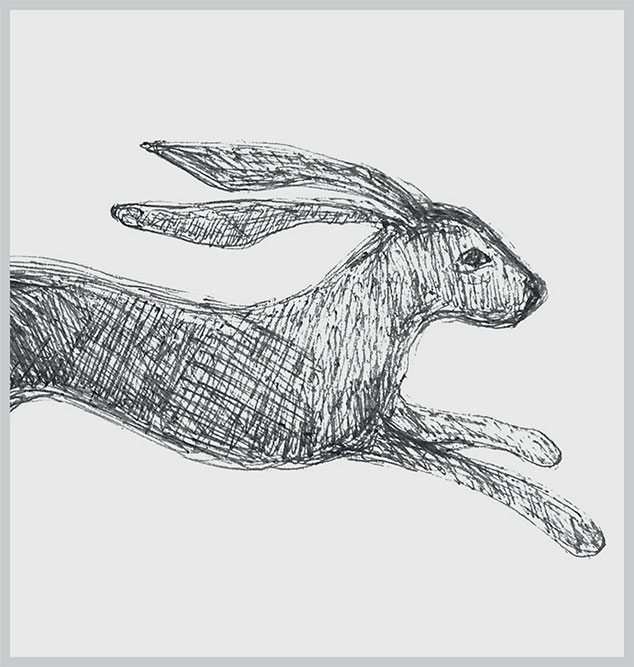 Hares Sketch