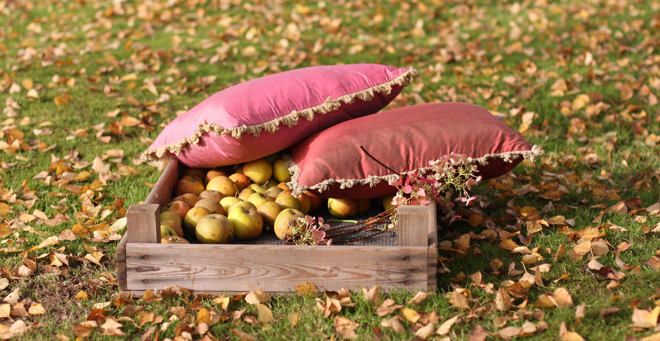 Autumn Cushions